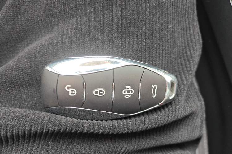 Used Hongqi H9 2024 2.0T Qichang Private Enjoyment Luxury Edition Vehicle Key