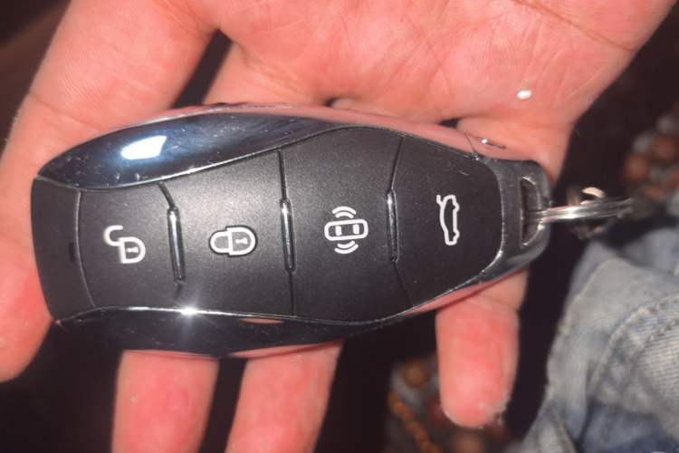 Used Hongqi H9 2024 2.0T Qixiang Private Style Edition Vehicle Key