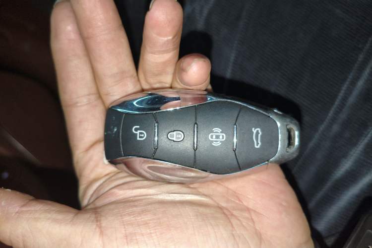 Used Hongqi H9 2024 2.0T Qichang Private Enjoyment Luxury Edition Vehicle Key