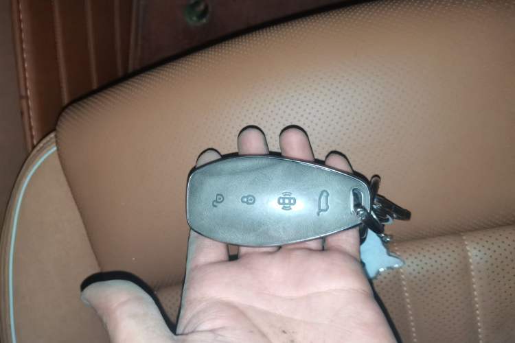Used Hongqi H9 2024 2.0T Qixiang Private Style Edition Vehicle Key