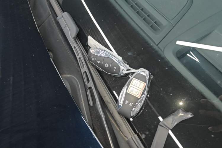 Used Hongqi H9 2024 2.0T Qichang Private Enjoyment Luxury Edition Vehicle Key