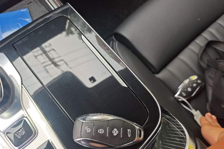 Used Hongqi H9 2024 2.0T Qichang Luxury Business Edition Vehicle Key