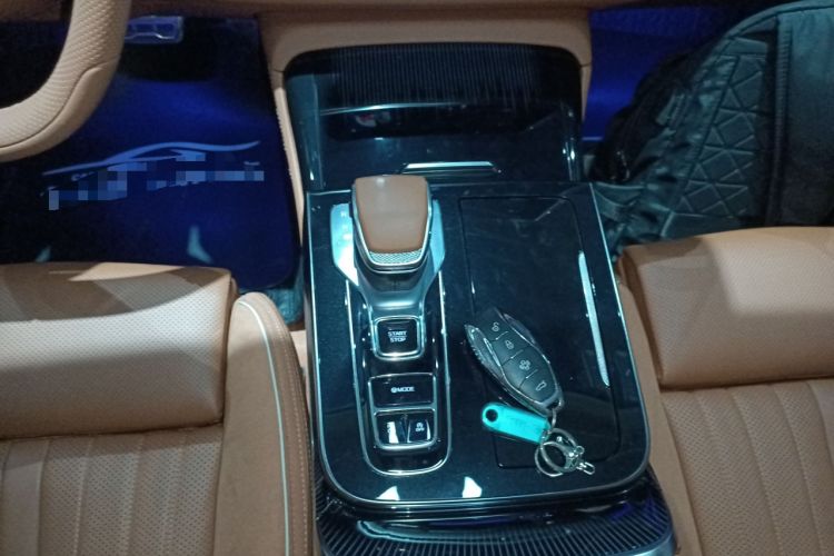 Used Hongqi H9 2024 2.0T Qichang Private Enjoyment Luxury Edition Gear Lever