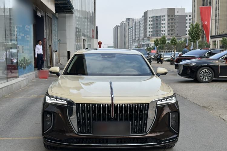 Used Hongqi H9 2024 2.0T Qichang Luxury Business Edition Exterior 4