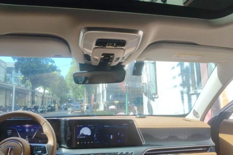 Used Hongqi H9 2024 2.0T Qixiang Luxury Business Edition Headliner