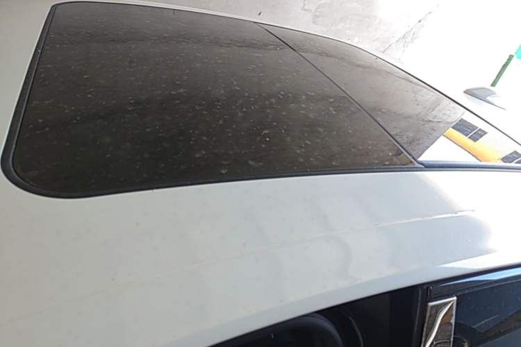 Used Hongqi H9 2024 2.0T Qixiang Private Style Edition Roof