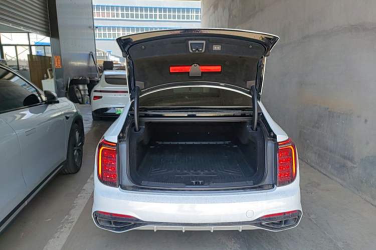 Used Hongqi H9 2024 2.0T Qixiang Private Style Edition Trunk
