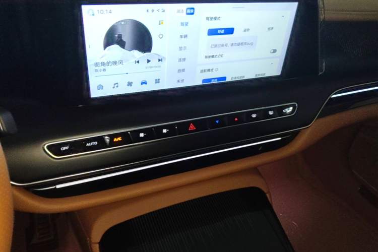 Used Hongqi H9 2025 2.0T Two-Wheel-Drive Flagship Luxury Business Edition 5 Seats Audio And AC Panel