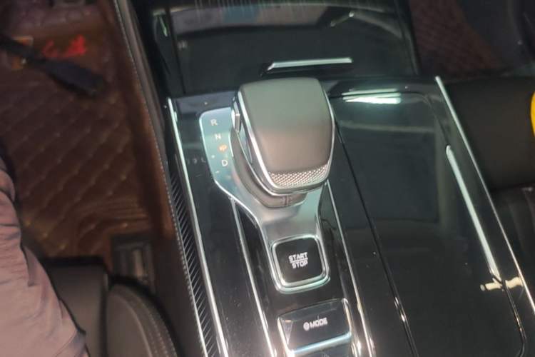 Used Hongqi H9 2025 2.0T Two-Wheel-Drive Flagship Private Enjoyment Style 5 Seats Gear Lever