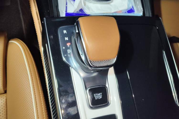 Used Hongqi H9 2025 2.0T Two-Wheel Drive Flagship Luxury Business Edition 5 Seats Gear Lever