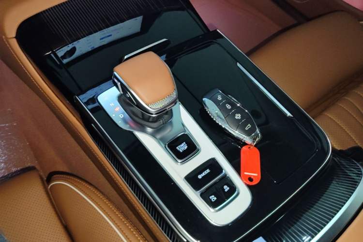 Used Hongqi H9 2025 2.0T Two-Wheel-Drive Flagship Luxury Business Edition 5 Seats Gear Lever