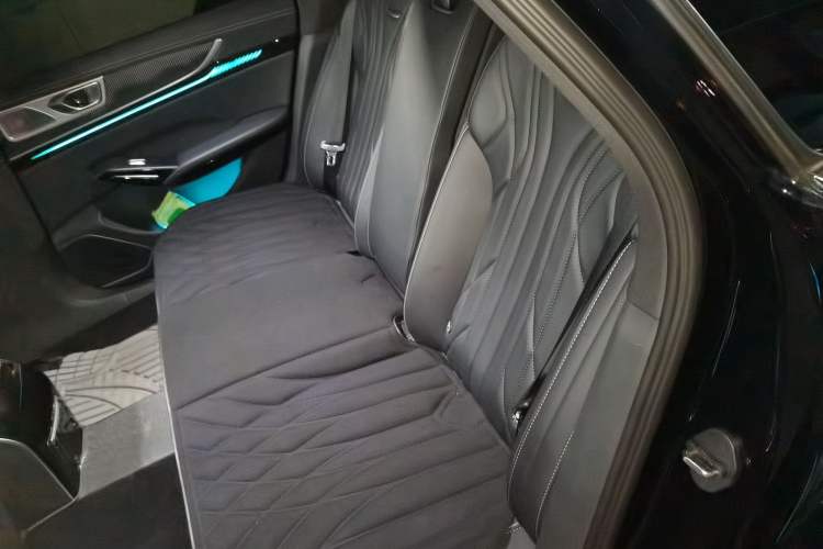 Used Hongqi H9 2025 2.0T Two-Wheel Drive Flagship Luxury Business Edition 5 Seats Left Rear Seat
