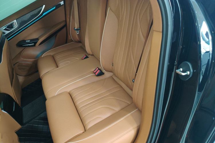 Used Hongqi H9 2025 2.0T Two-Wheel-Drive Flagship Luxury Business Edition 5 Seats Left Rear Seat