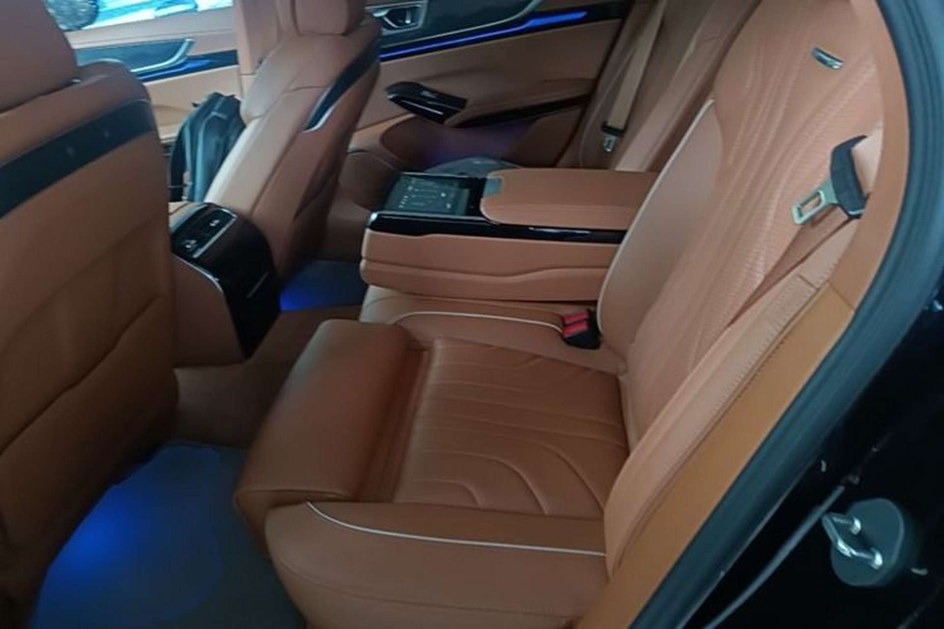 Used Hongqi H9 2025 2.0T Two-Wheel-Drive Flagship Luxury Business Edition 5 Seats Left Rear Seat