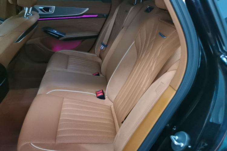 Used Hongqi H9 2025 2.0T Two-Wheel-Drive Flagship Private Enjoyment Style 5 Seats Left Rear Seat