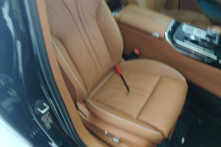Used Hongqi H9 2025 2.0T Two-Wheel-Drive Flagship Luxury Business Edition 5 Seats Right Front Seat