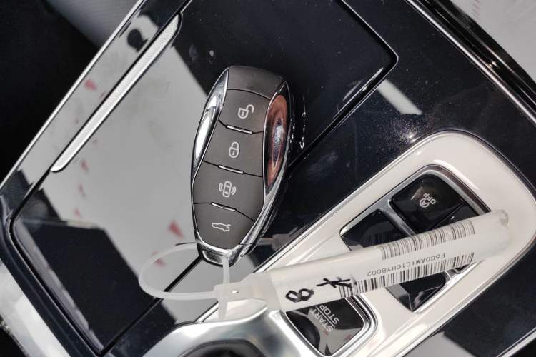 Used Hongqi H9 2025 2.0T Two-Wheel Drive Flagship Luxury Business Edition 5 Seats Vehicle Key