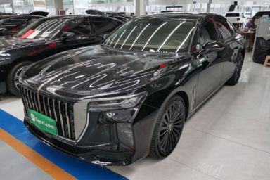 Used Hongqi H9 2025 2.0T Two-Wheel-Drive Flagship Private Enjoyment Style 5 Seats