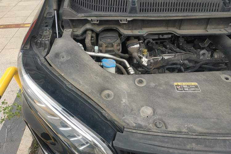 Used Hongqi HQ9 2023 2.0T Smart Connect Flagship Edition Engine Bay Right