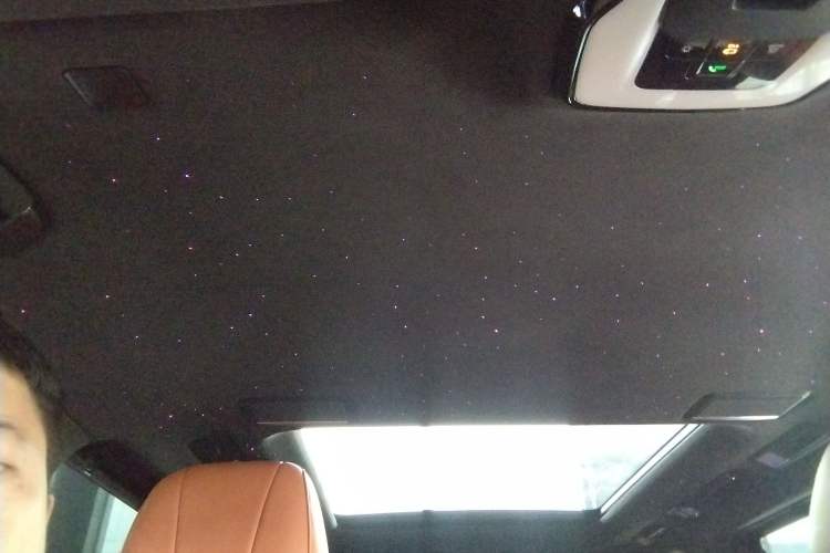 Used Hongqi HQ9 2023 2.0T Smart Connect Flagship Edition Headliner