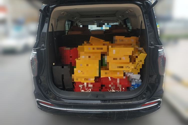 Used Hongqi HQ9 2023 2.0T Smart Connect Flagship Edition Trunk