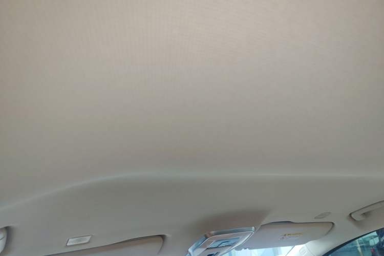 Used Hongqi HQ9 2023 2.0T Smart Connect Flagship Edition Headliner