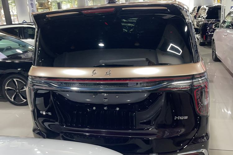 Used Hongqi HQ9 2023 2.0T Smart Connect Flagship Edition Exterior 4