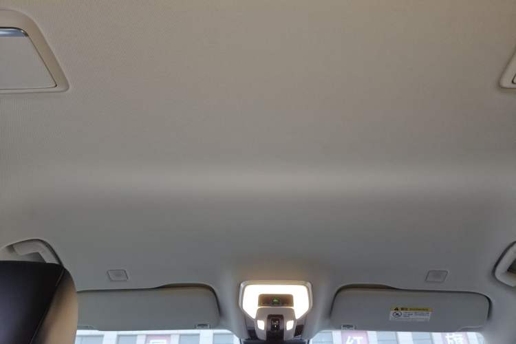 Used Hongqi HQ9 2023 2.0T Smart Connect Flagship Edition Headliner