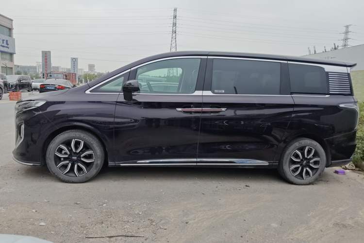Used Hongqi HQ9 2023 2.0T Smart Connect Flagship Edition Left Side