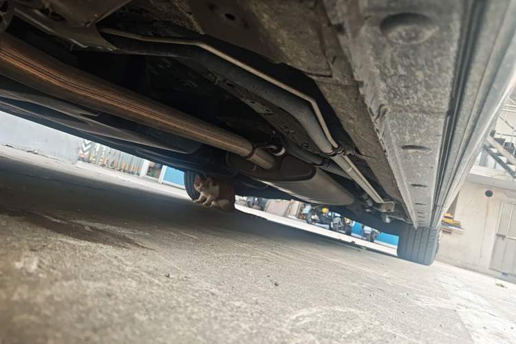 Used Hongqi HQ9 2023 2.0T Smart Connect Flagship Edition Chassis Front Left