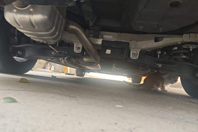 Used Hongqi HQ9 2023 2.0T Smart Connect Flagship Edition Chassis Rear