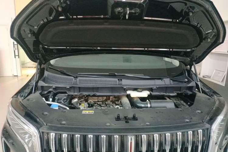 Used Hongqi HQ9 2023 2.0T Smart Connect Flagship Edition Engine Bay