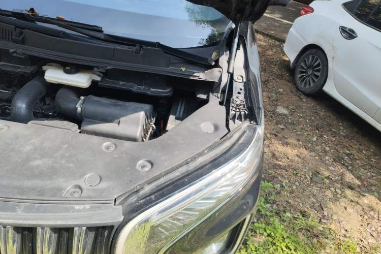 Used Hongqi HQ9 2023 2.0T Smart Connect Flagship Edition Engine Bay Left