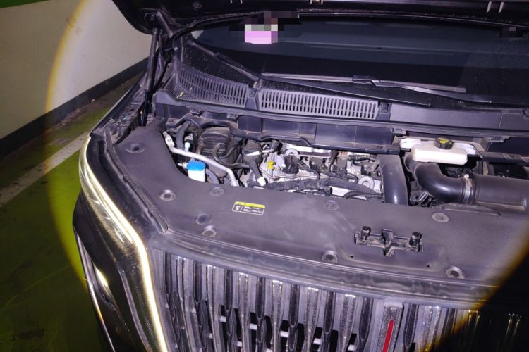 Used Hongqi HQ9 2023 2.0T Smart Connect Flagship Edition Engine Bay Right