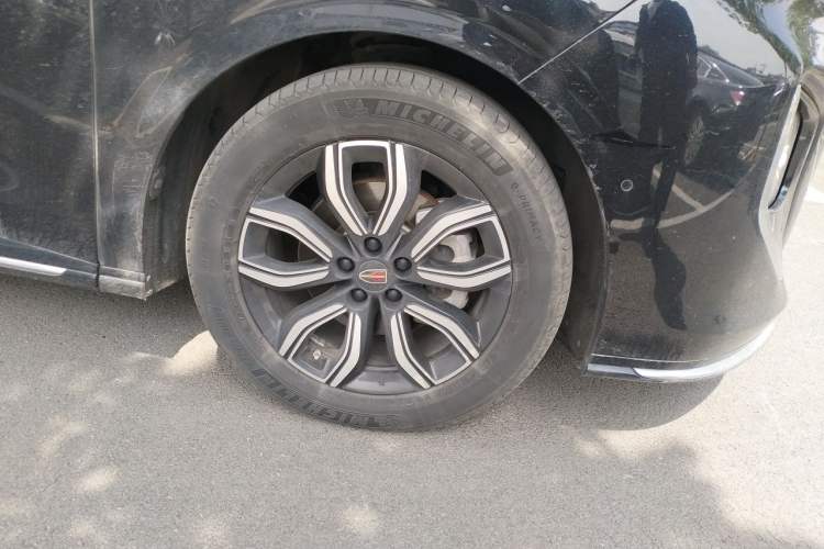 Used Hongqi HQ9 2023 2.0T Smart Connect Flagship Edition Exterior 1