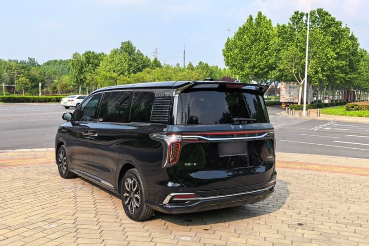 Used Hongqi HQ9 2023 2.0T Smart Connect Flagship Edition Exterior 2