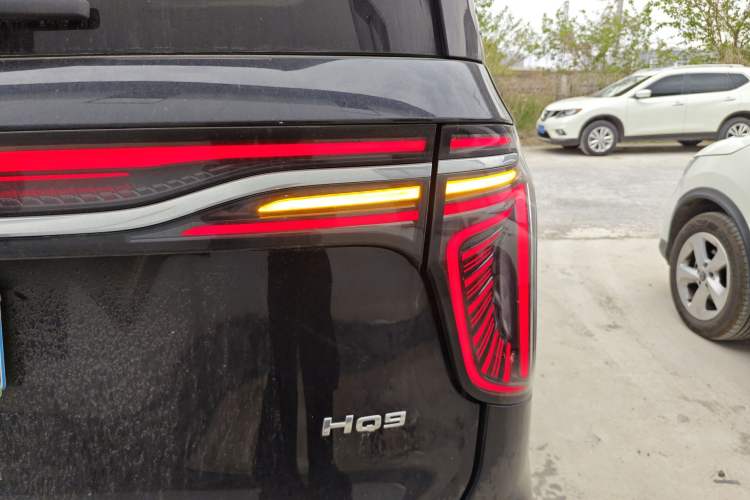 Used Hongqi HQ9 2023 2.0T Smart Connect Flagship Edition Exterior 3