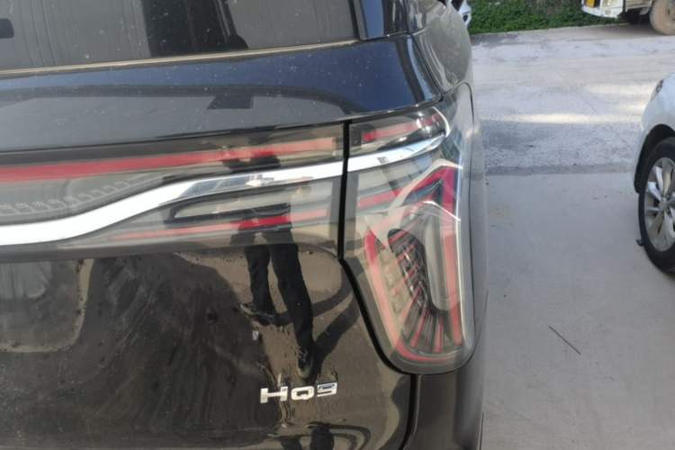 Used Hongqi HQ9 2023 2.0T Smart Connect Flagship Edition Exterior 3