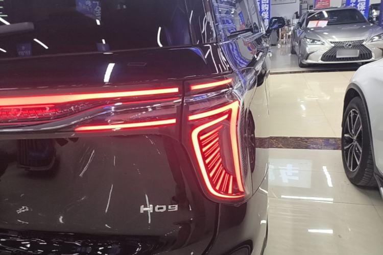 Used Hongqi HQ9 2023 2.0T Smart Connect Flagship Edition Exterior 3
