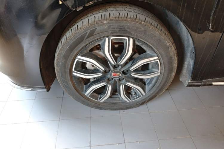 Used Hongqi HQ9 2023 2.0T Smart Connect Flagship Edition Exterior 4