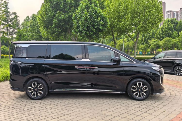 Used Hongqi HQ9 2023 2.0T Smart Connect Flagship Edition Exterior 4