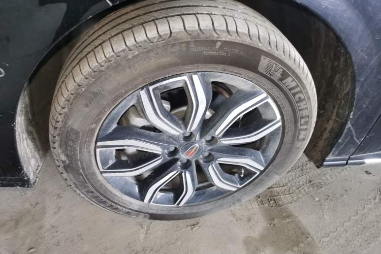 Used Hongqi HQ9 2023 2.0T Smart Connect Flagship Edition Exterior 4