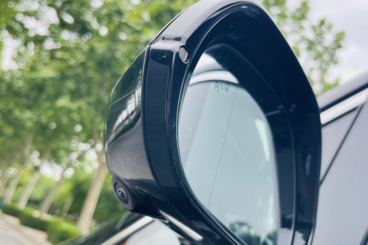 Used Hongqi HQ9 2023 2.0T Smart Connect Flagship Edition Exterior 4
