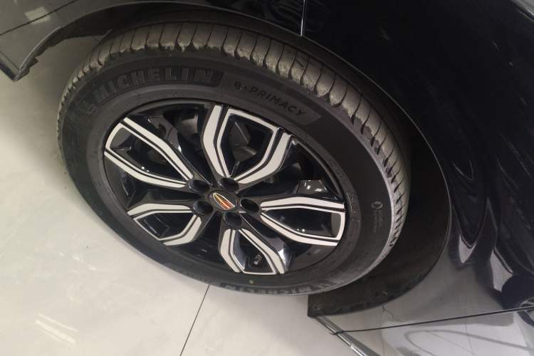 Used Hongqi HQ9 2023 2.0T Smart Connect Flagship Edition Exterior 4