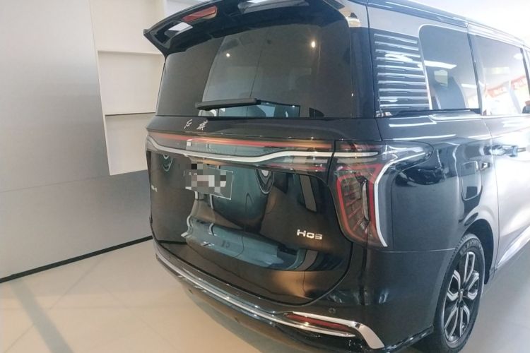 Used Hongqi HQ9 2023 2.0T Smart Connect Flagship Edition Exterior 4