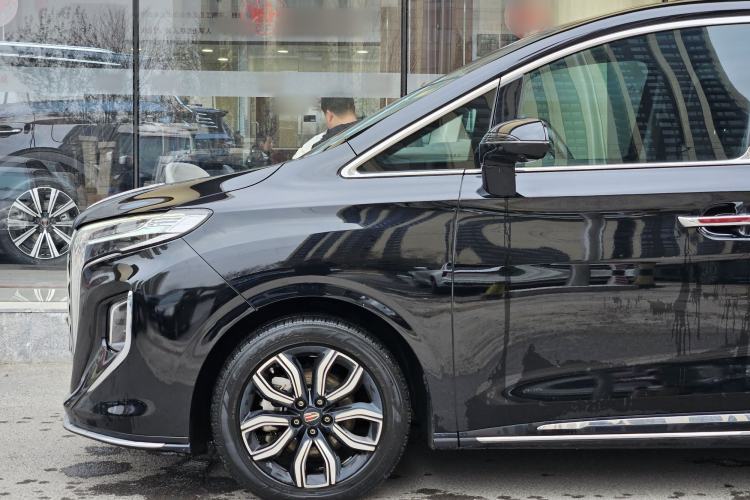 Used Hongqi HQ9 2023 2.0T Smart Connect Flagship Edition Exterior 4