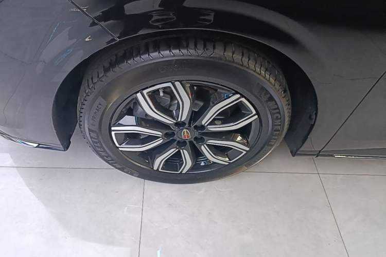 Used Hongqi HQ9 2023 2.0T Smart Connect Flagship Edition Exterior 4