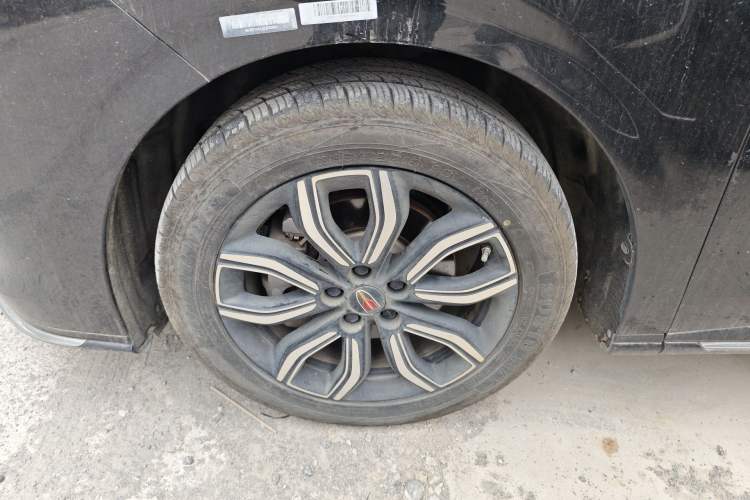Used Hongqi HQ9 2023 2.0T Smart Connect Flagship Edition Exterior 4