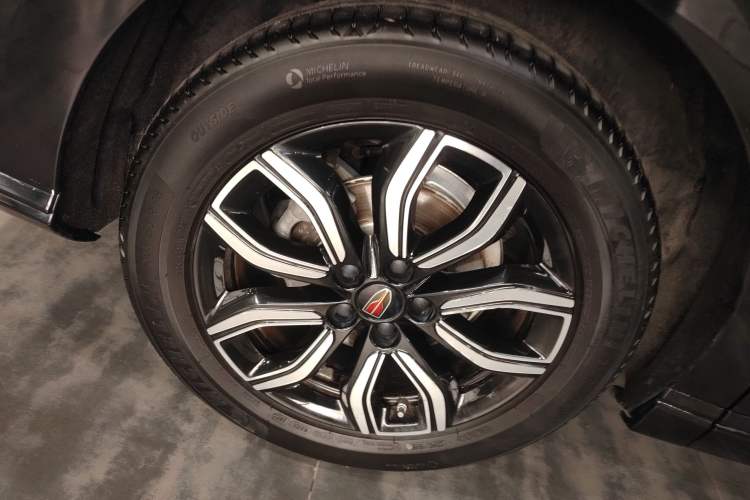 Used Hongqi HQ9 2023 2.0T Smart Connect Flagship Edition Exterior 4
