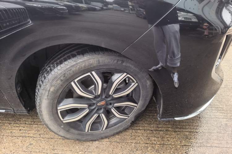 Used Hongqi HQ9 2023 2.0T Smart Connect Flagship Edition Exterior 4